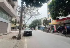 Nhà mặt phố Hoàng Trình Thanh - kinh doanh đỉnh, 6 tầng hiện đại... Bán nhà mặt phố tại Hà Đông, Hà Nội 04