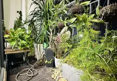 🌟 Căn Hộ Ecolife Tây Hồ - Chỉ 9.8 Tỷ, Nhận Ngay Cuộc Sống Đẳng Cấp! 🏙️... Bán căn hộ chung cư tại Nghĩa Đô, Hà Nội 10
