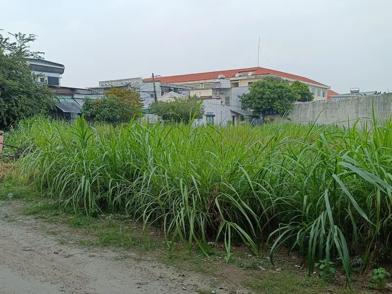 Bán đất Tân Xuân Hóc Môn mặt tiền 5m, diện tích 126m2, sổ hồng riêng... Bán đất tại Hóc Môn, Hồ Chí Minh 01