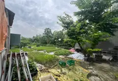 Bán đất phường Trí Quả, Bắc Ninh diện tích 214m² phù hợp xây biệt thự hoặc đầu tư... Bán đất tại Trí Quả, Bắc Ninh 05