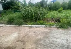 Đất nền tiện ích đầy đủ tại Ngõ Hòa Bình, Kim Anh... Bán đất tại Kim Anh, Hà Nội 01