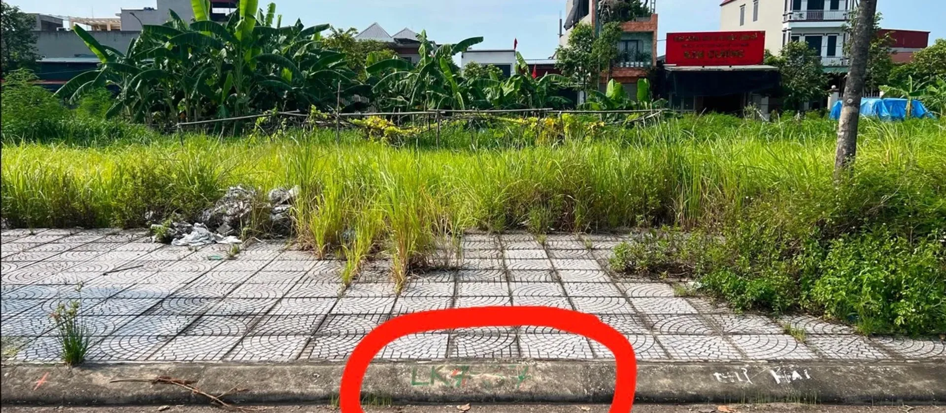 Bán đất phường Hương Mạc, dự án Bảo Long, lô đất phân lô vuông vắn tiềm năng đầu tư... Bán đất tại Từ Sơn, Bắc Ninh 01