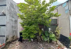 Đất trống 112.6m² ngay trường THPT Bình Hưng Hòa, phường Bình Hưng Hòa, Bình Tân, chỉ 3 tỷ... Bán owner_side tại Bình Hưng Hòa, Hồ Chí Minh 01