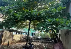Đất thổ cư hiếm có giá tốt ở Tân Tạo Bình Tân... Bán đất tại Tân Tạo, Hồ Chí Minh 03