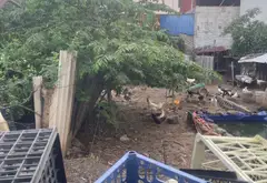 Cơ Hội Sở Hữu Đất Vàng Thôn Yên Ninh – Giá Tốt, Vị Trí Đẹp, Sẵn Sổ Đỏ... Bán đất tại Nội Bài, Hà Nội 07