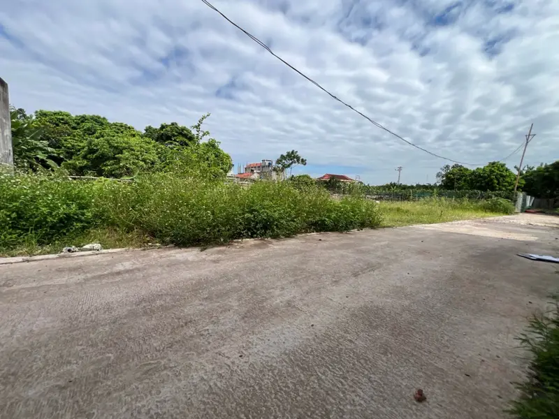 Bán đất thôn La Chàng, huyện Ân Thi, Hưng Yên, diện tích 67.1 m², hướng Đông Nam... Bán đất tại Nguyễn Trãi, Hưng Yên 01