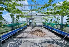 🍀🍀TOÀ NHÀ VĂN PHÒNG 10 TẦNG - MẶT TIỀN - TRẦN BÌNH TRỌNG - P5 - BÌNH THẠNH Nhỉnh 36 Tỷ 🧧🧧... Bán nhà mặt phố tại Bình Lợi Trung, Hồ Chí Minh 17