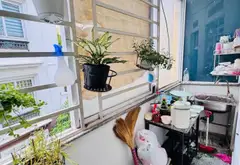 Bán nhà 4 tầng mặt phố Dương Quảng Hàm, 48m², giá 12.88 tỷ... Bán nhà mặt phố tại An Nhơn, Hồ Chí Minh 12
