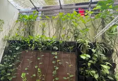 Biệt thự Phân Lô Ngọc Hồi - Vị Trí Đắc Địa, Giao Thông Thuận Tiện... Bán biệt thự, liền kề tại Ngọc Hồi, Hà Nội 10