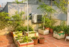 🔥 NHÀ ĐẸP 3 TẦNG PHÚC THỊNH – CHỦ HẠ SỐC – CƠ HỘI TÍCH SẢN HIẾM TRONG TẦM TIỀN DT 60M ❌... Bán nhà riêng tại Phúc Thịnh, Hà Nội 01