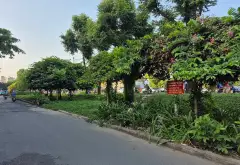 Đất mặt tiền Trường Chinh, Tân Bình - cơ hội đầu tư vàng... Bán đất tại Tân Sơn, Hồ Chí Minh 06