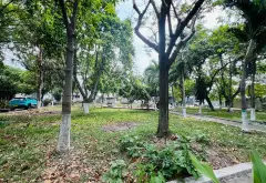 KHU PHÂN LÔ BÀN CỜ - MẶT TIỀN KHỦNG 6,5m ❌15m 2 TÀNG ĐƯỜNG NHỰA Ô TÔ TRÁNH 6m P TÂN THỚI HIỆP Q12... Bán nhà mặt phố tại Tân Thới Hiệp, Hồ Chí Minh 13