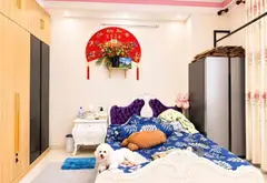 DƯƠNG QUẢNG HÀM – NGANG 5M – HXH – Ô TÔ NGỦ TRONG NHÀ

📐 5×25m | Trệt + 3 lầu + sân thượng... Bán nhà riêng tại An Nhơn, Hồ Chí Minh 11