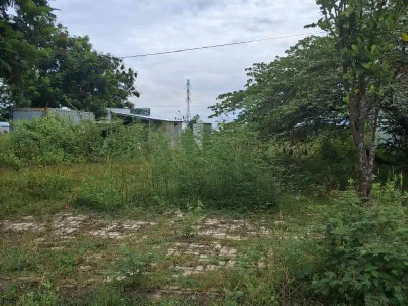 🔥 ĐẤT HÒA LIÊN 5 – 100M² – ĐƯỜNG 7M5 – GIÁ NHỈNH NHỎ 3 TỶ 🔥... Bán đất tại Liên Chiểu, Đà Nẵng 01