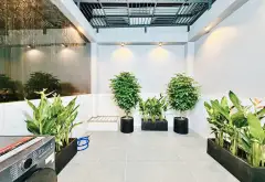 🏠S.ÁT M.ẶT T.IỀN THỐNG NHẤT –GÒ VẤP–43M2 -5 TẦNG BTCT–🚗 HXH 6M TRÁNH– GẦN SIÊU THỊ EMAXT... Bán nhà riêng tại Thông Tây Hội, Hồ Chí Minh 12
