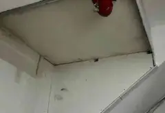 Toà Nhà CHDV 19 Phòng Tân Phú - Dòng Tiền Ổn Định... Bán nhà mặt phố tại Phú Thọ Hòa, Hồ Chí Minh 17