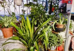 Căn hộ chung cư 2 ngủ tại Xuân La, gần Ngoại Giao Đoàn, 575m2... Bán căn hộ chung cư tại Xuân Đỉnh, Hà Nội 11