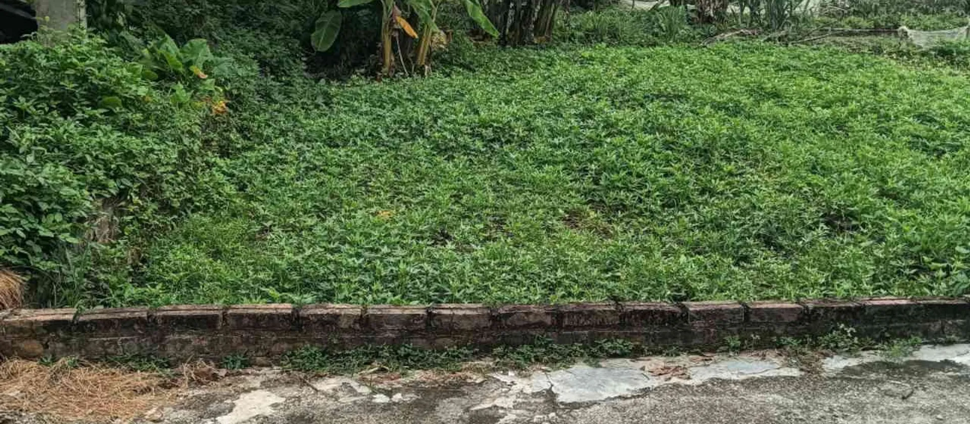 Bán đất 60m² gần trục kinh doanh, sổ đỏ pháp lý đầy đủ, giá 1.25 tỷ VNĐ... Bán đất tại Đa Phúc, Hà Nội 01