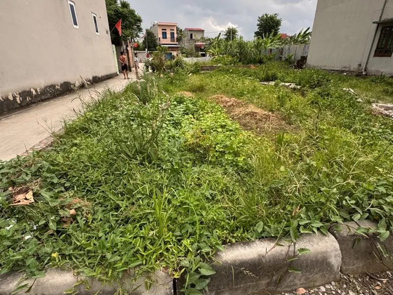Bán đất 109m² tại Đông Lai, Sóc Sơn, - Gần Khu Công Nghiệp - Sân Bay... Bán đất tại Nội Bài, Hà Nội 01