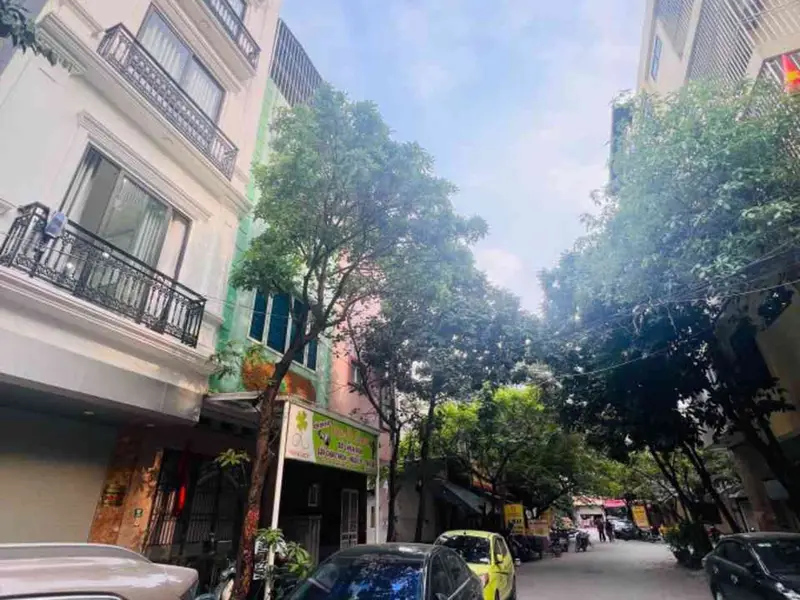 🔥 KHU ĐẤU GIÁ NGÔ THỊ NHẬM – VỈA HÈ RỘNG – THANG MÁY– KINH DOANH ĐỈNH – DÒNG TIỀN SẴN 🔥... Bán biệt thự, liền kề tại Hà Đông, Hà Nội 01