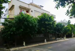 Bán nhà 4 tầng lô góc 2 mặt tiền khu Tên Lửa, Bình Tân... Bán nhà mặt phố tại An Lạc, Hồ Chí Minh 09