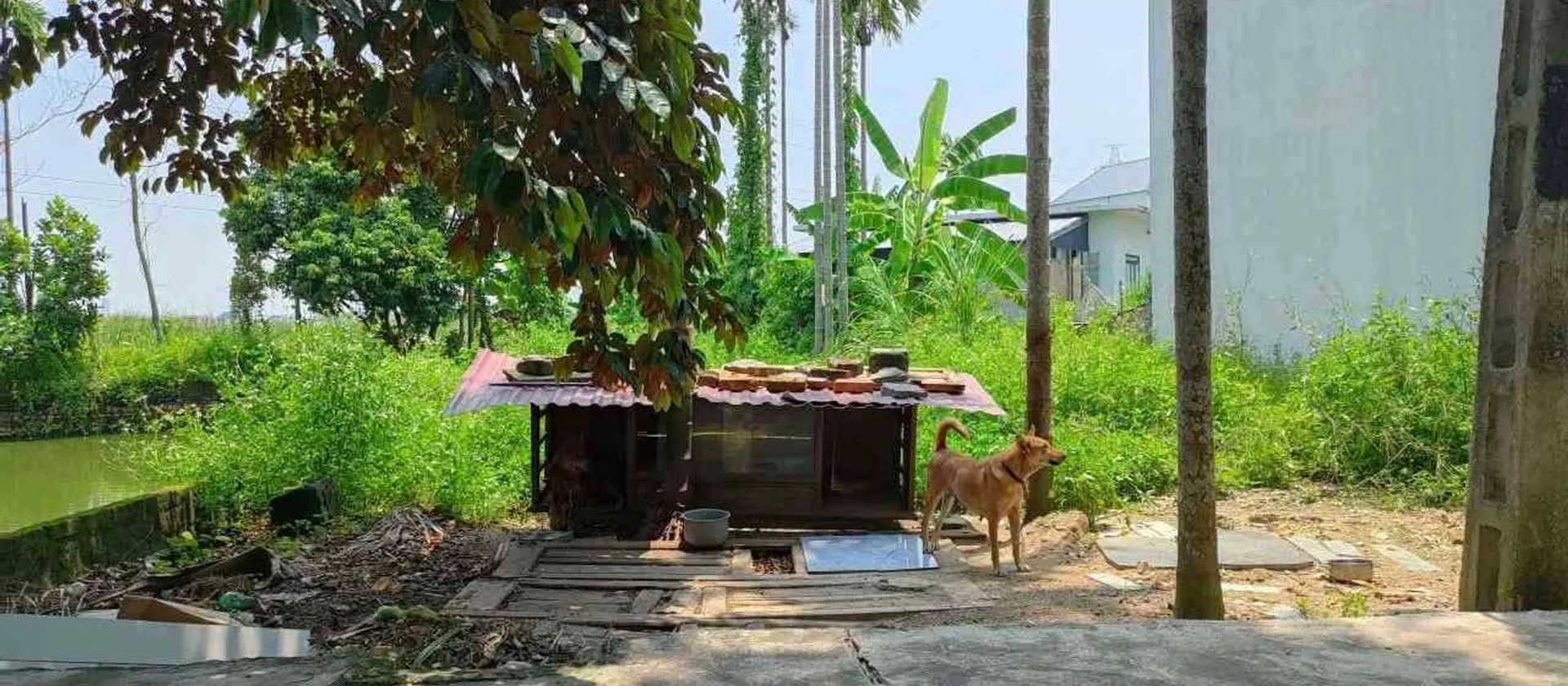 Lô đất rộng 112m² tại Kiều Đông, Hồng Thái, An Dương, Hải Phòng... Bán đất tại An Hải, Hải Phòng 01