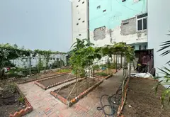Đất trống Bạch Đằng 2 – Xây CHDV, nhà cao tầng cực tiện... Bán đất tại Tân Sơn Hòa, Hồ Chí Minh 08