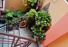 Bán nhà riêng 4 tầng tại xã Bà Điểm, Hồ Chí Minh, diện tích 80m², pháp lý có sổ hồng... Bán nhà riêng tại Bà Điểm, Hồ Chí Minh 04