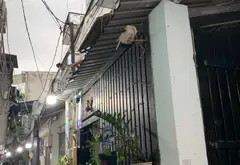 Nhà 2 tầng xinh xắn khu An Lạc giá hợp lý... Bán nhà riêng tại An Lạc, Hồ Chí Minh 01