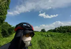 Bán đất phường Tam Bình, TP Thủ Đức, diện tích lớn giá hợp lý... Bán đất tại Tam Bình, Hồ Chí Minh 08