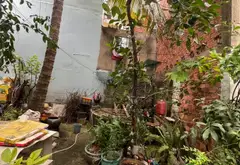 Bán nhà mặt phố Quang Trung, 2 tầng, diện tích 215 m², kinh doanh sầm uất... Bán nhà mặt phố tại Gò Vấp, Hồ Chí Minh 07