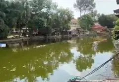Nhà 2 tầng rộng rãi, kinh doanh cho thuê ngay phường Trung Mỹ Tây... Bán nhà riêng tại Trung Mỹ Tây, Hồ Chí Minh 02