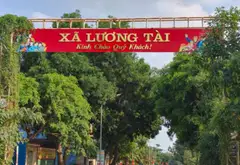 Đất mặt tiền rộng, trung tâm xã Lương Tài, cực giá trị... Bán đất tại Lương Tài, Bắc Ninh 05