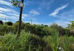 Bán đất khu đấu giá Đại Trung, Tiên Du, Bắc Ninh – diện tích 100m²,... Bán đất tại Đại Đồng, Bắc Ninh 04