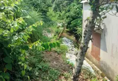 Đất xây biệt thự vườn tại Thủy Nguyên, diện tích 500m2, vị trí thuận tiện... Bán đất tại Hòa Bình, Hải Phòng 04