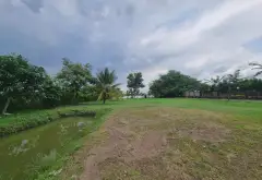 Đất ven sông rộng lớn, tiềm năng tăng giá chuẩn... Bán đất tại Long Phước, Hồ Chí Minh 06