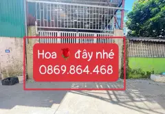 Bán nhà cấp 4 4 phòng ngủ ở xã Quang Minh, Hà Nội giá 5,15 tỷ... Bán nhà riêng tại Quang Minh, Hà Nội 01