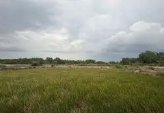 Bán đất khuôn viên lớn xã Bình Khánh, Cần Giờ, diện tích 17.436m2, giá 139 tỷ đồng... Bán đất tại Bình Chánh, Hồ Chí Minh 16