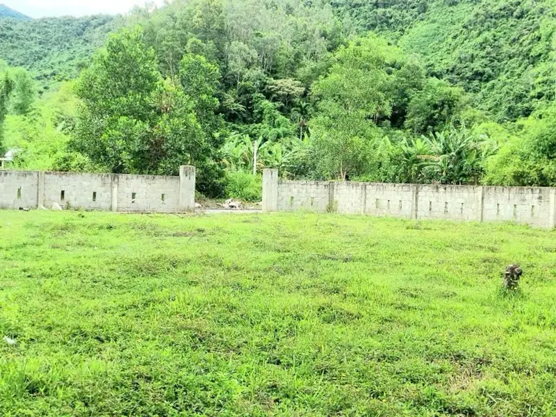 🌿 LÔ ĐẤT CHỮA LÀNH NGAY THUNG LŨNG FARM HÒA BẮC – CHÂN NÚI, SUỐI NHỎ, SÔNG CU ĐÊ TRONG LÀNH 🌿... Bán đất tại Hải Vân, Đà Nẵng 01