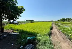 Bán đất 2000m2 mặt tiền kênh xã Lê Minh Xuân, Bình Chánh... Bán đất tại Bình Lợi, Hồ Chí Minh 07