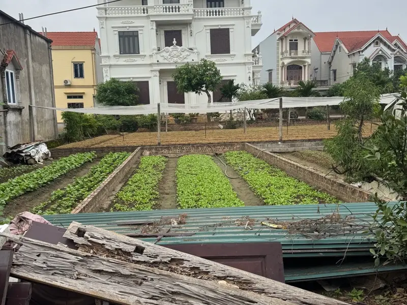 Đất đẹp giá mềm ngay khu dân cư sầm uất... Bán đất tại Chương Dương, Hà Nội 01