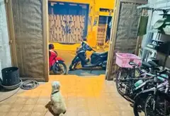 Nhà mặt phố sang trọng bề thế tại phường 14, Tân Bình... Bán nhà mặt phố tại Bảy Hiền, Hồ Chí Minh 05