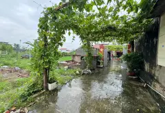 Cơ Hội Sở Hữu Lô Đất Vàng Gần Ngã Tư Chợ Gà Gáy... Bán đất tại Tân Minh, Hải Phòng 06