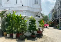 Cơ hội sở hữu nhà tân cổ điển sang trọng tại Nhà Bè, giá tốt hiếm có ngay hôm nay... Bán nhà riêng tại Nhà Bè, Hồ Chí Minh 05