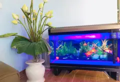 Bán chung cư mini tầng 7 tại Kim Hoa, căn góc view hồ Ba Mẫu... Bán chung cư mini tại Đống Đa, Hà Nội 04