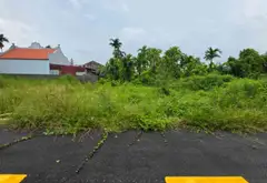 Đất nền Kiến Thụy, vị trí tiềm năng, phù hợp đầu tư phát triển... Bán đất tại Kiến Minh, Hải Phòng 05