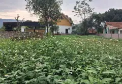 Đất đẹp Thanh Hà, ô tô vào tận nơi, giá đầu tư siêu hấp dẫn... Bán đất tại Trung Giã, Hà Nội 03
