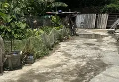 Cơ hội sở hữu đất trung tâm Bát Trang giá đầu tư không thể bỏ lỡ... Bán đất tại An Lão, Hải Phòng 14