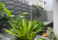 Bán shophouse 6 tầng tại khu đô thị Tuấn Dung Ninh Hiệp... Bán Shophouse tại Phù Đổng, Hà Nội 09