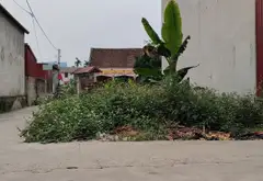 Đất Hậu Xuân Dục Tân Minh 2, Sổ Hồng Chính Chủ, Thổ Cư Full... Bán đất tại Sóc Sơn, Hà Nội 08